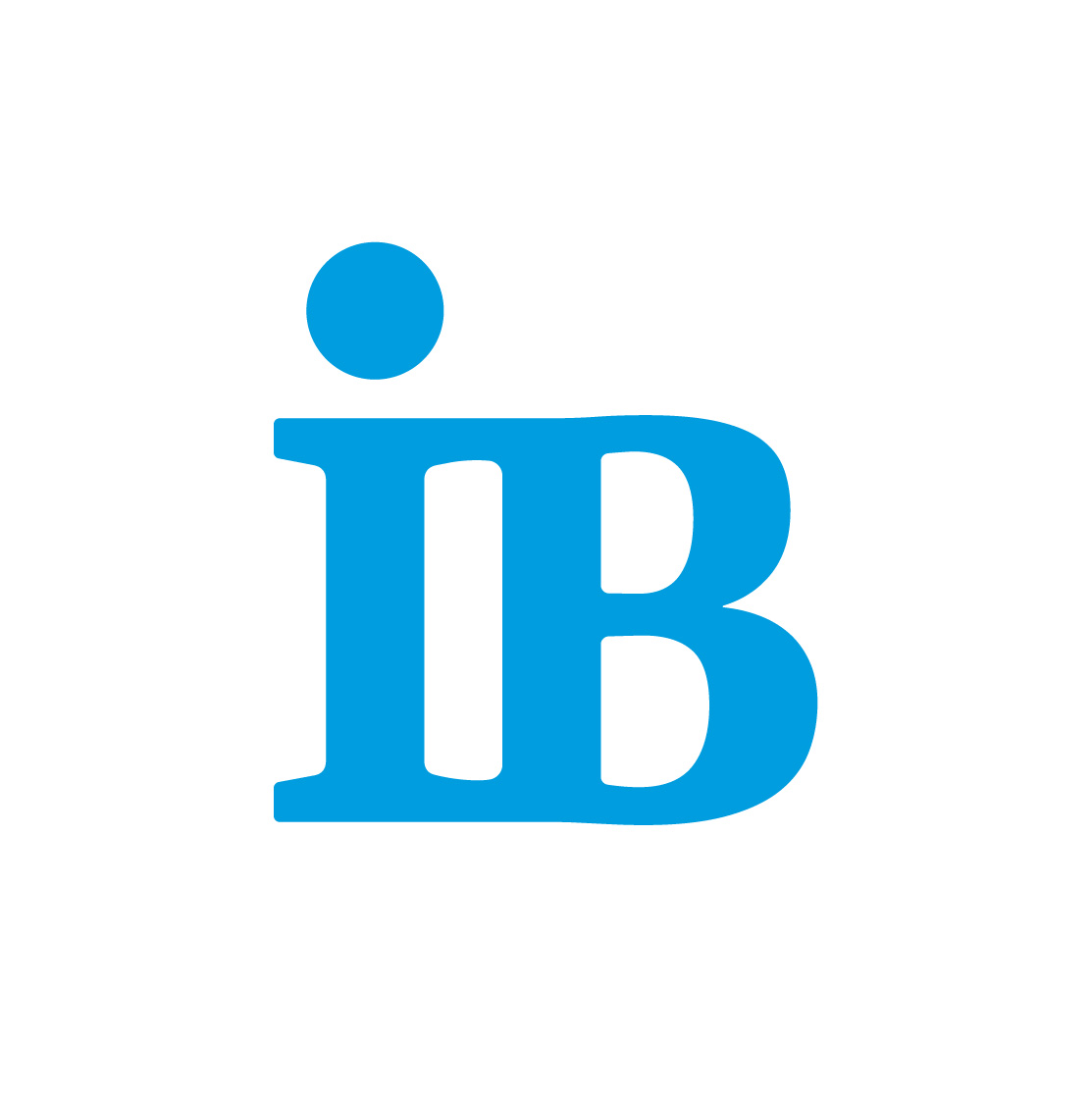 Internationaler Bund e.V.